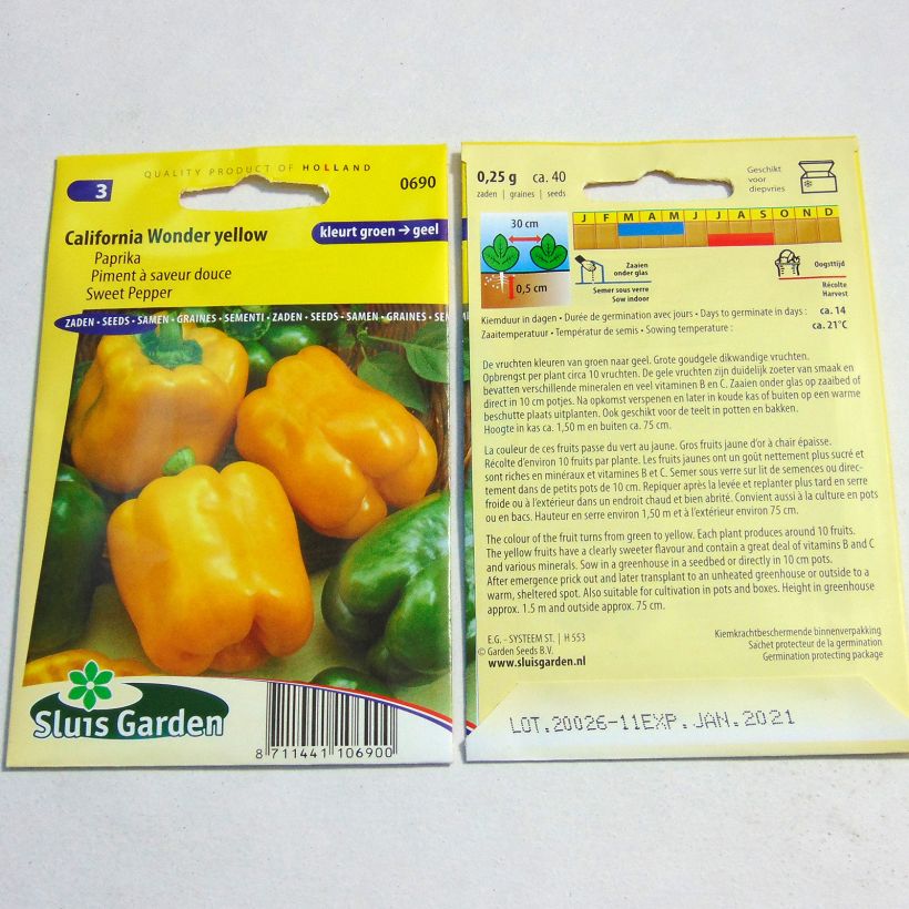 Example of Paprika Golden Calwonder per pack of 40 seeds as you get