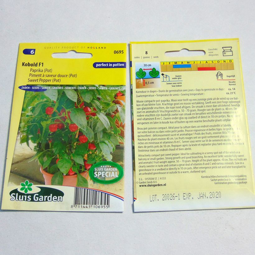 Example of Paprika Kobold per pack of 8 seeds as you get