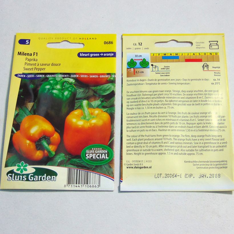 Example of Paprika Milena per pack of 12 seeds as you get