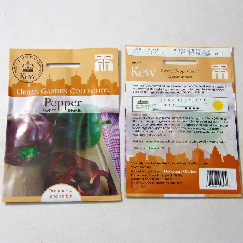 Example of Paprika Sweet Ingrid per pack of 6 seeds as you get