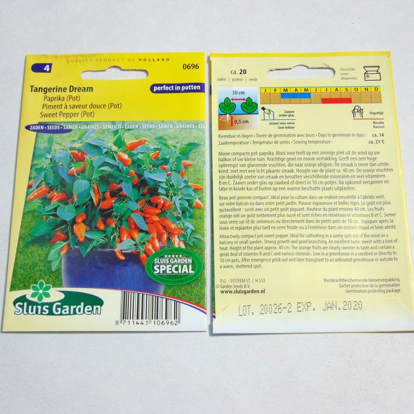 Example of Paprika Tangerine Dream per pack of 20 seeds as you get