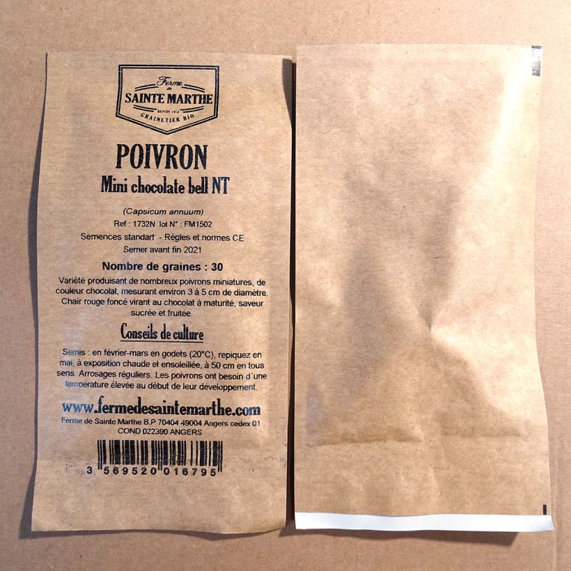 Example of Paprika Mini Chocolate Bell - Ferme de Sainte Marthe per pack of 30 seeds (Sachet de 30 grammesg) as you get