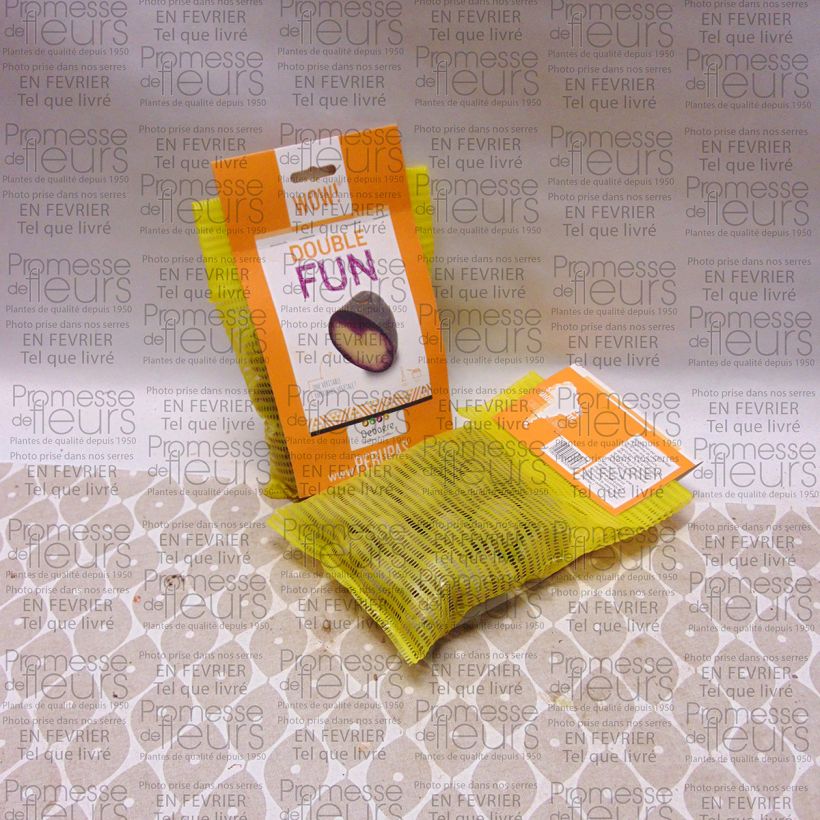 Example of Kartoffel Double Fun Beutel mit 25 Setzlingen size 28/35 mm as you get