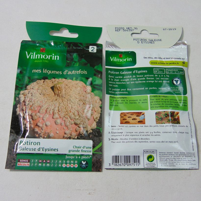 Example of Riesen-Kürbis Galeuse d'Eysines - Vilmorin per pack of 18 seeds (3g) as you get