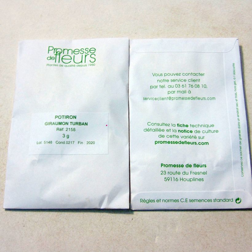 Example of Riesen-Kürbis Giraumon Turban per pack of 10 seeds (3g) as you get