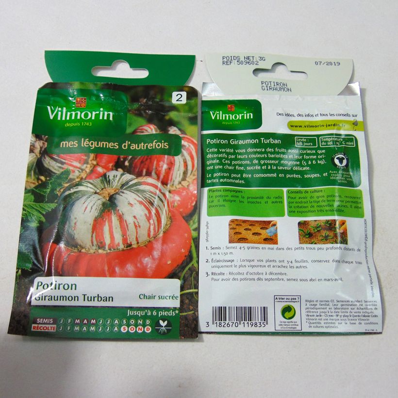 Example of Riesen-Kürbis Giraumon Turban - Vilmorin per pack of 18 seeds (3g) as you get