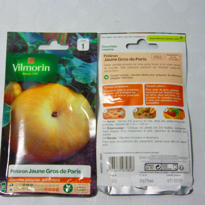 Example of Riesen-Kürbis Jaune Gros de Paris - Vilmorin per pack of 36 seeds (6g) as you get