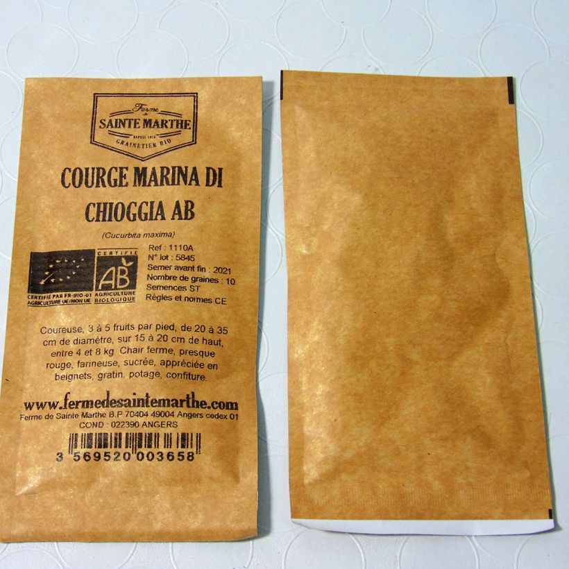 Example of Riesen-Kürbis Marina di Chioggia Bio per pack of 10 seeds (3g) as you get
