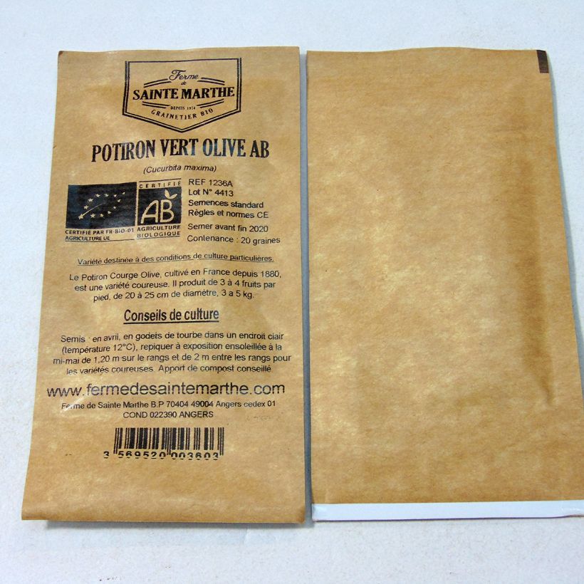 Example of Riesen-Kürbis Vert Olive Bio - Ferme de Sainte Marthe per pack of 20 seeds (4g) as you get