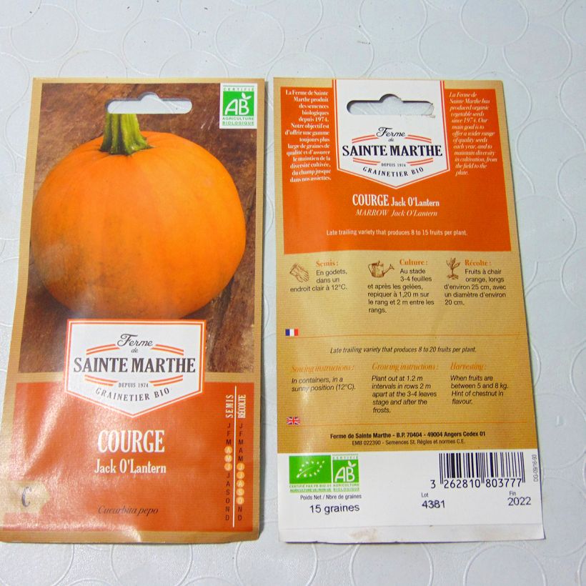 Example of Garten-Kürbis Jack O'Lantern per pack of 8 seeds (1g) as you get