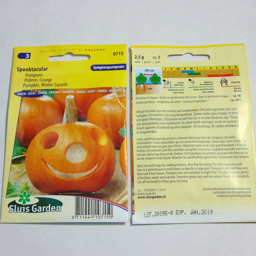 Example of Kürbis Spooktacular die Tüte mit 8 Samen (2g) as you get