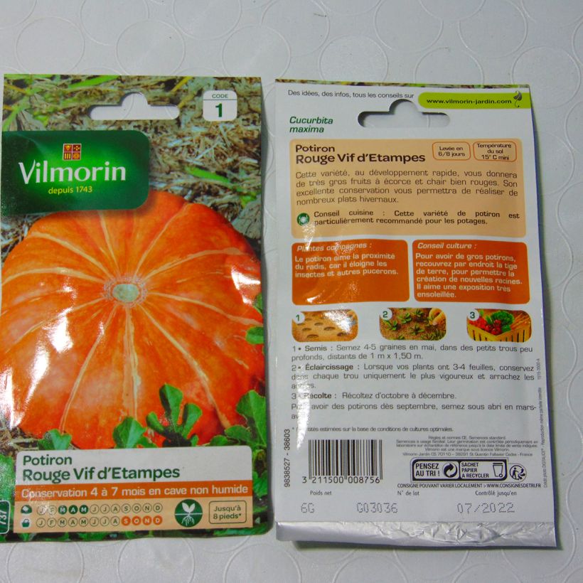 Example of Riesen-Kürbis Rouge Vif d'Etampes - Vilmorin per pack of 36 seeds (6g) as you get