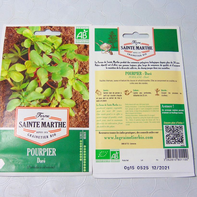 Example of Portulak Gelber Portulak Bio - Portulaca oleracea per pack of 300 seeds as you get