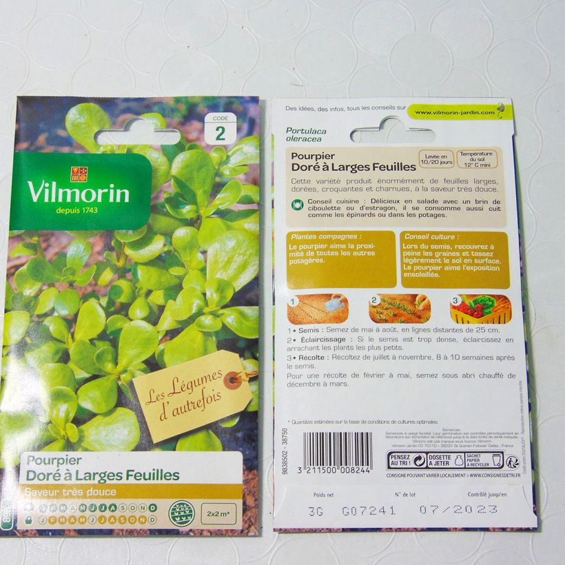 Example of Portulak Gelber Portulak - Vilmorin - Portulaca oleracea per pack of 7500 seeds (3g) as you get