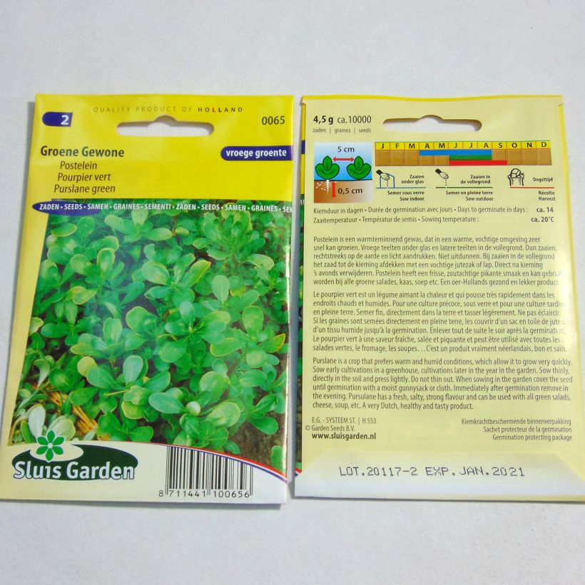 Example of Portulak Grüner - Portulaca oleracea per pack of 10000 seeds (4g) as you get