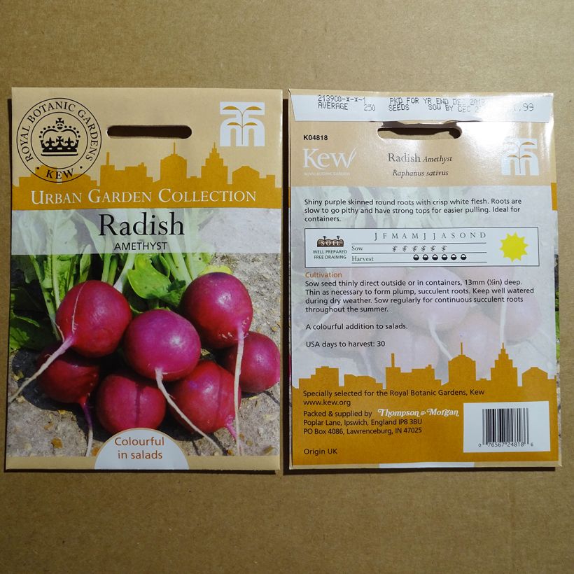 Example of Rettich Amethyst per pack of 300 seeds as you get