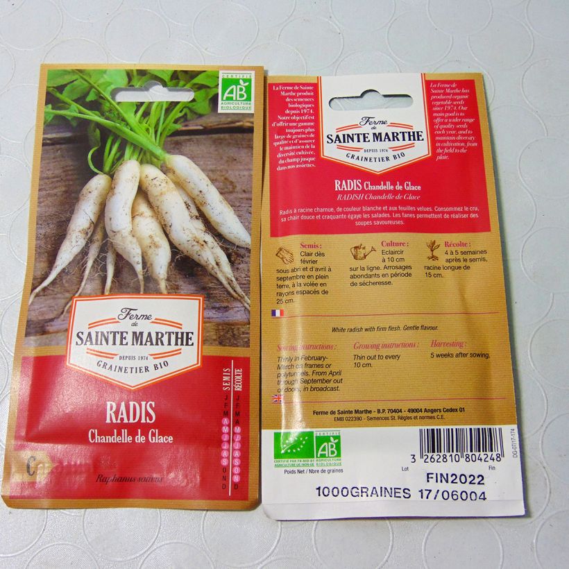 Example of Rettich Chandelle de Glace Bio per pack of 1000 seeds (4g) as you get