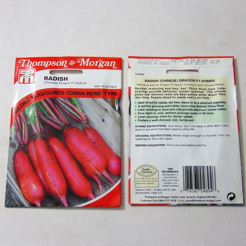 Example of Rettich Chinese Dragon F1 per pack of 80 seeds as you get