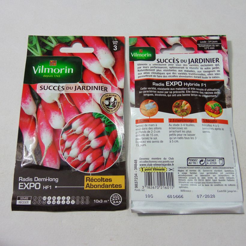 Example of Rettich Expo F1 - Vilmorin per pack of 800 seeds (10g) as you get