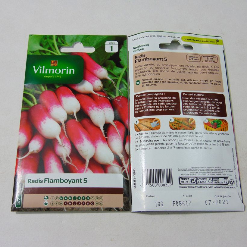 Example of Rettich Flamboyant 5 - Vilmorin per pack of 800 seeds (10g) as you get