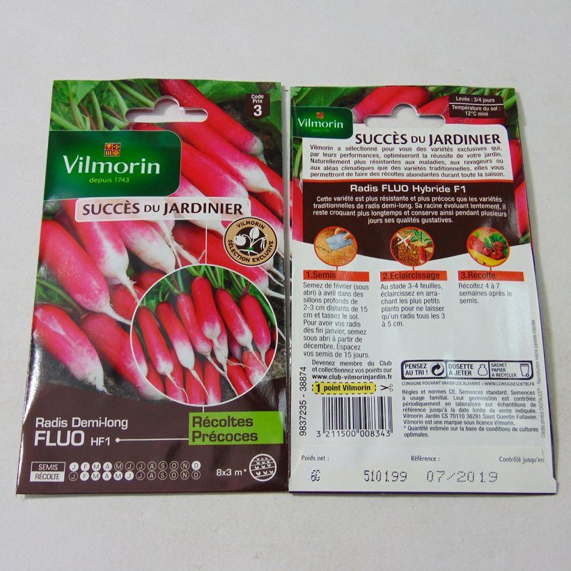Example of Rettich Fluo F1 - Vilmorin per pack of 480 seeds (6g) as you get