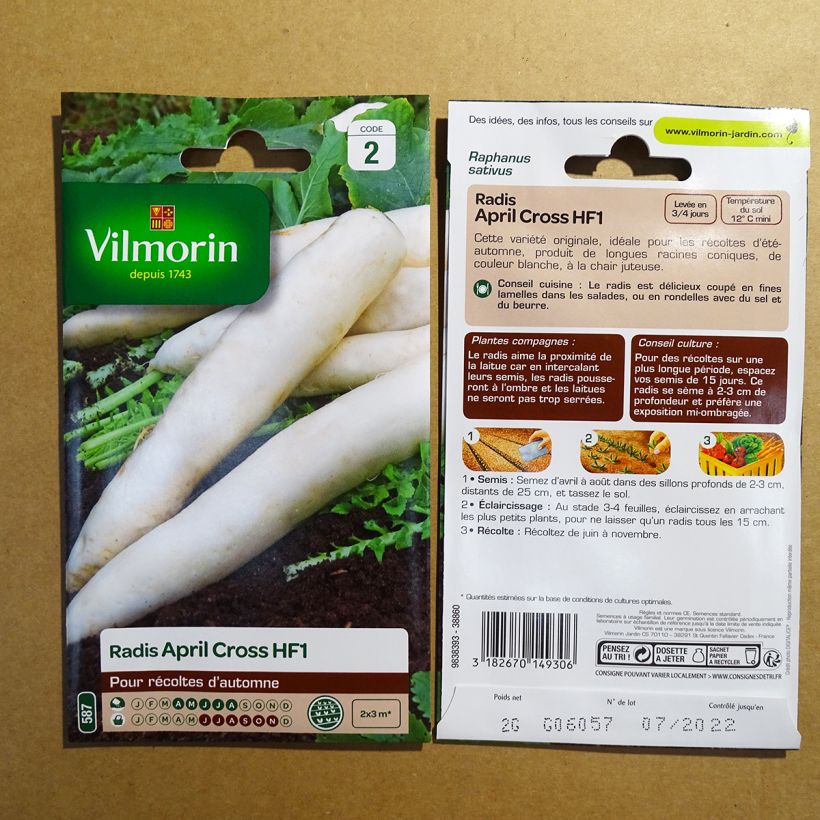 Example of Rettich Japonais April Cross F1 - Vilmorin per pack of 160 seeds (2g) as you get