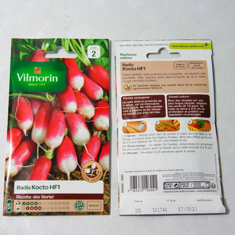 Example of Rettich Kocto F1 - Vilmorin per pack of 1200 seeds (10g) as you get