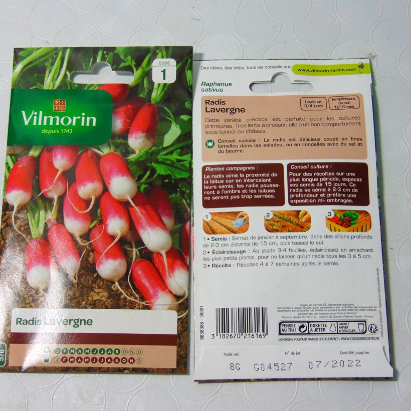 Example of Rettich Lavergne - Vilmorin per pack of 640 seeds (8g) as you get