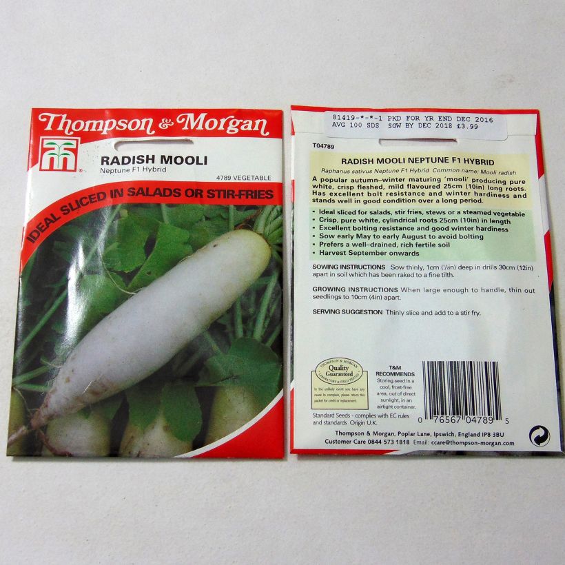Example of Rettich Mooli Neptune F1 per pack of 100 seeds as you get