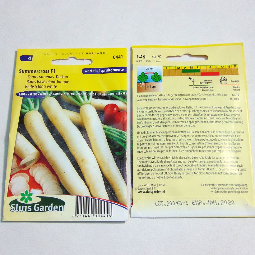 Example of Rettich longipinnatus Rave blanc Summercross F1 per pack of 75 seeds (1g) as you get