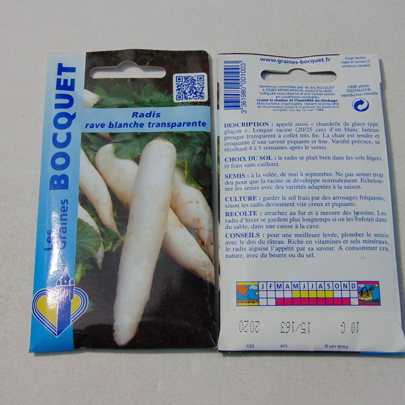 Example of Rettich Rave blanche transparente per pack of 800 seeds (10g) as you get