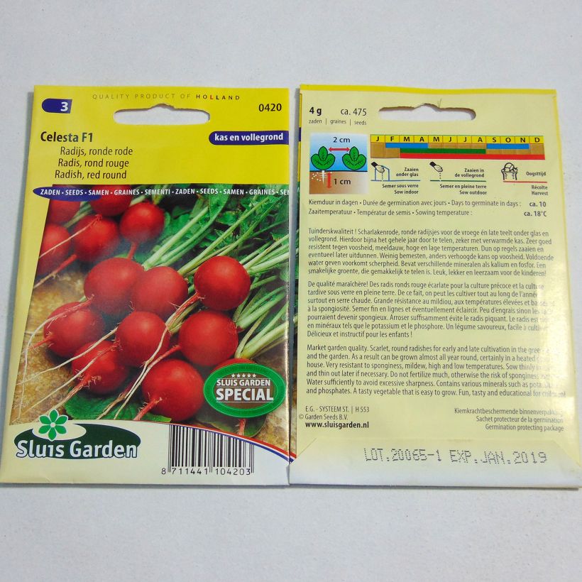 Example of Rettich Rond rouge Celesta F1 per pack of 475 seeds (4g) as you get