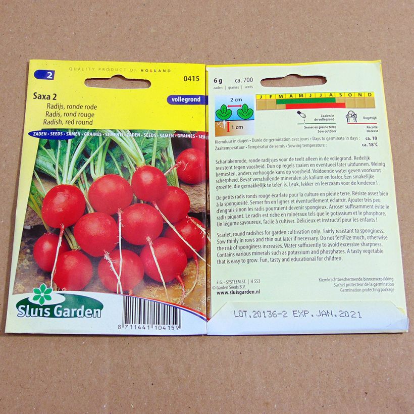 Example of Rettich Rond rouge Saxa 2 per pack of 700 seeds (6g) as you get