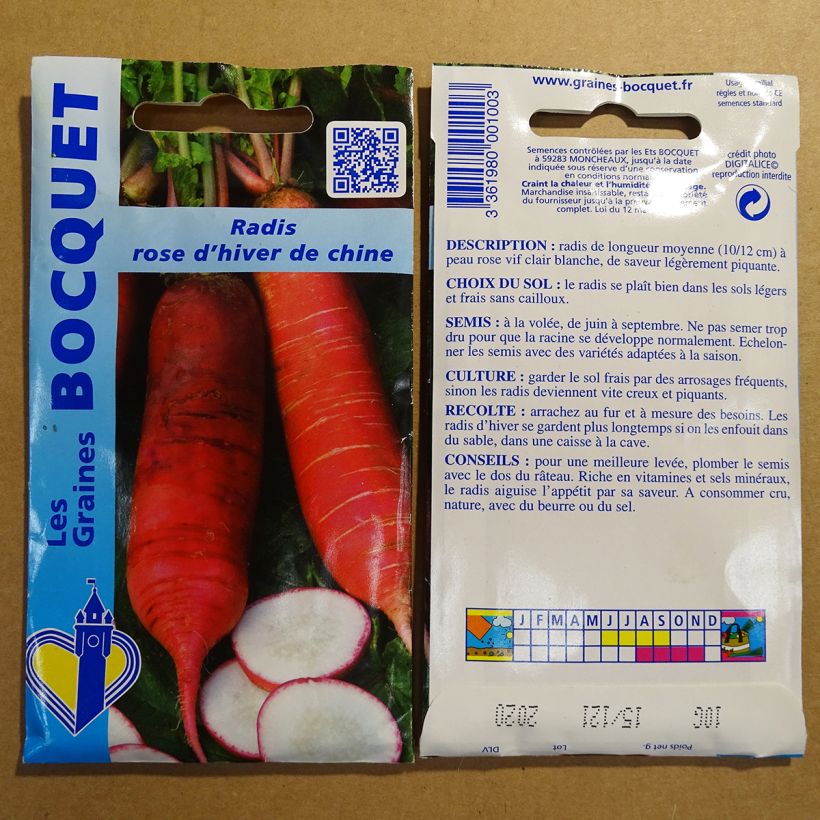 Example of Rettich Rose d'hiver de Chine per pack of 800 seeds (10g) as you get