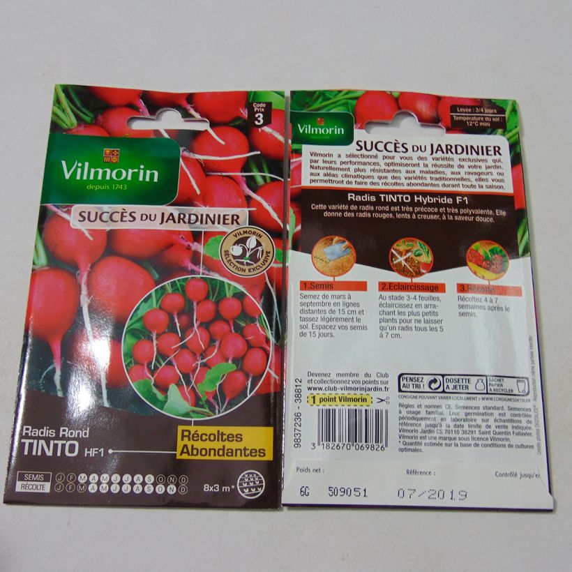 Example of Rettich Tinto F1 - Vilmorin per pack of 480 seeds (6g) as you get