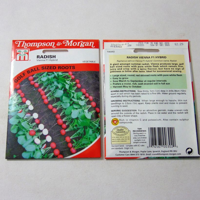 Example of Rettich Vienna F1 per pack of 350 seeds as you get