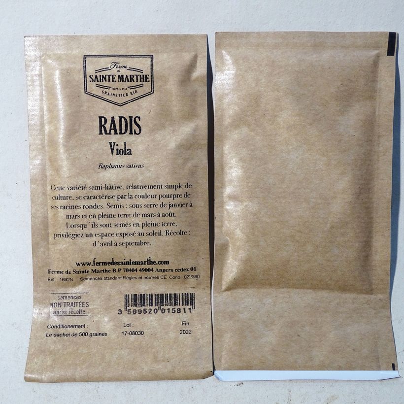 Example of Rettich Viola per pack of 500 seeds (5g) as you get
