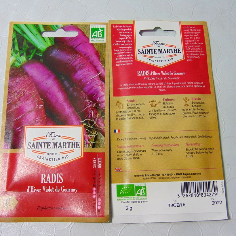 Example of Rettich Violet de Gournay Bio per pack of 160 seeds (2g) as you get