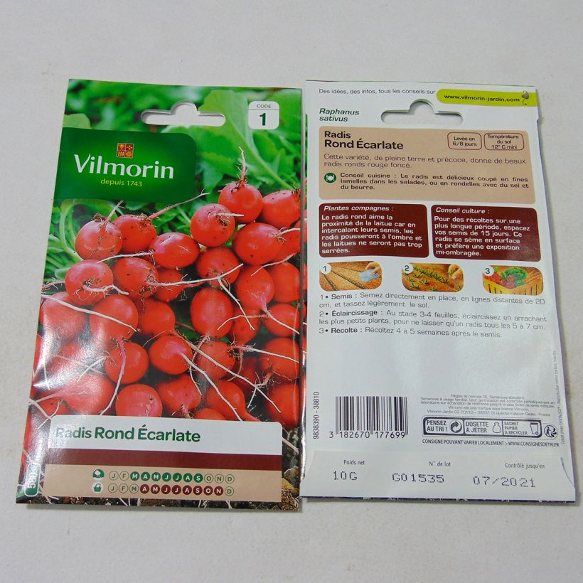 Example of Rettich Rond écarlate - Vilmorin per pack of 800 seeds (10g) as you get