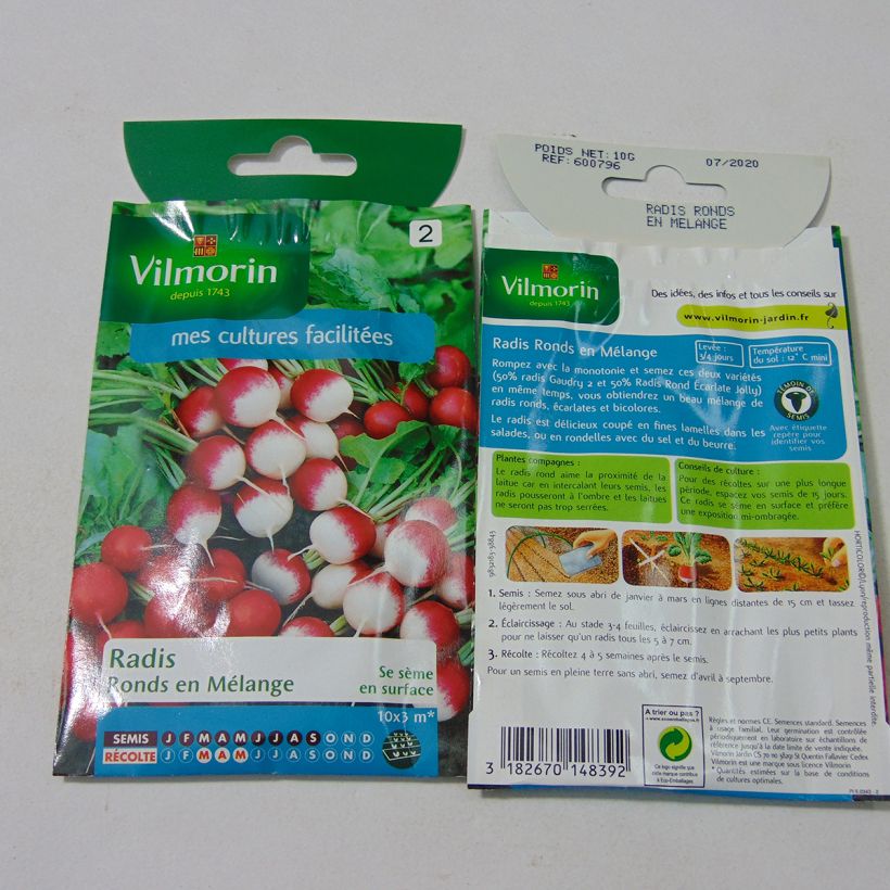Example of Rettich Gaudry 2 - Jolly per pack of 800 seeds (10g) as you get