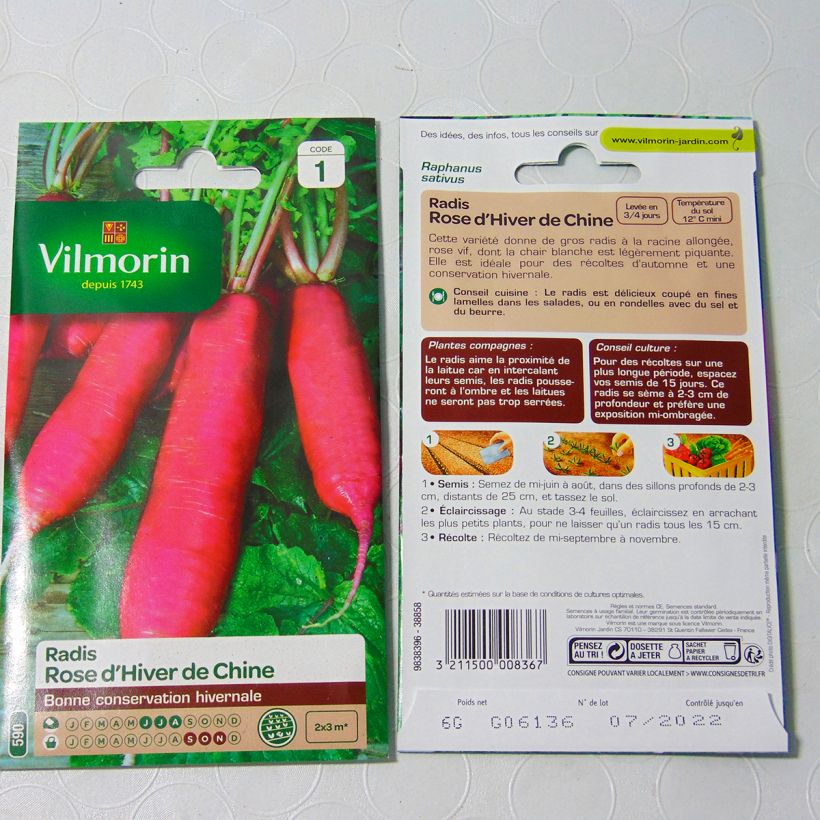 Example of Rettich Rose d'hiver de Chine - Vilmorin per pack of 480 seeds (6g) as you get