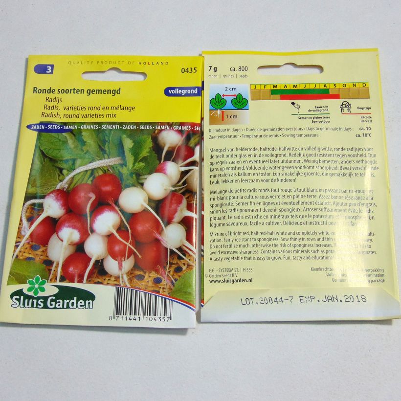 Example of Rettich Rond per pack of 800 seeds (7g) as you get