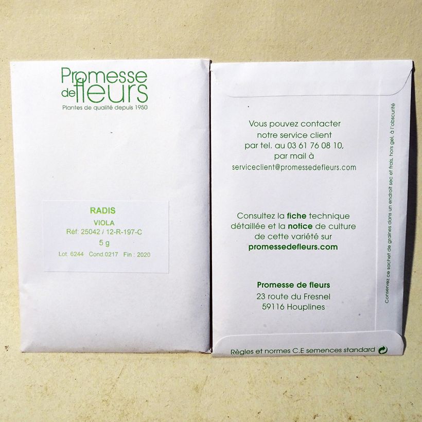 Example of Rettich violet Viola per pack of 500 seeds (5g) as you get