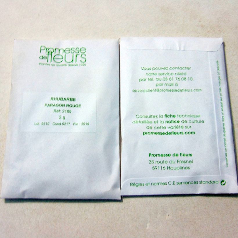 Example of Rhapontik-Rhabarber Paragon Rouge per pack of 125 seeds (2g) as you get