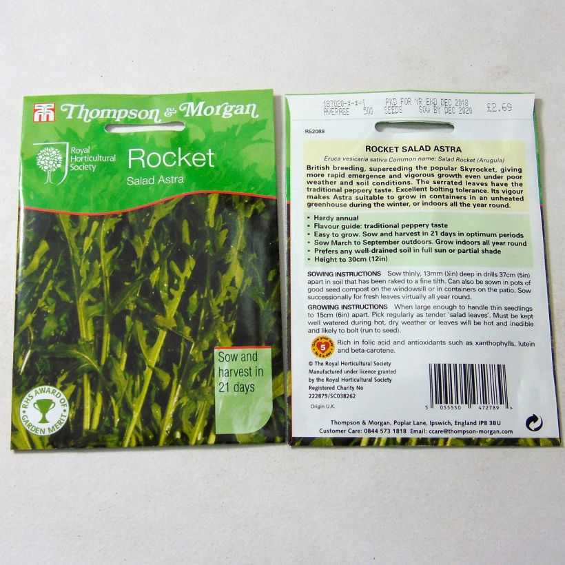 Example of Salat-Rauke Astra per pack of 750 seeds as you get