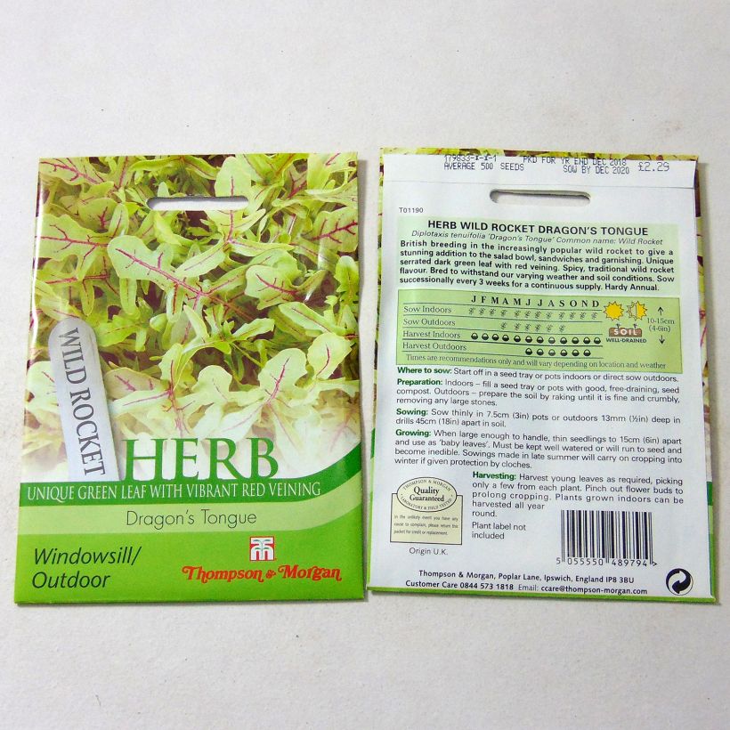 Example of Schmalblättriger Doppelsame Dragon Tongue per pack of 500 seeds as you get