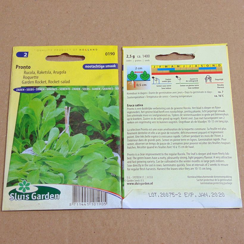 Example of Salat-Rauke Pronto per pack of 1400 seeds (2g) as you get