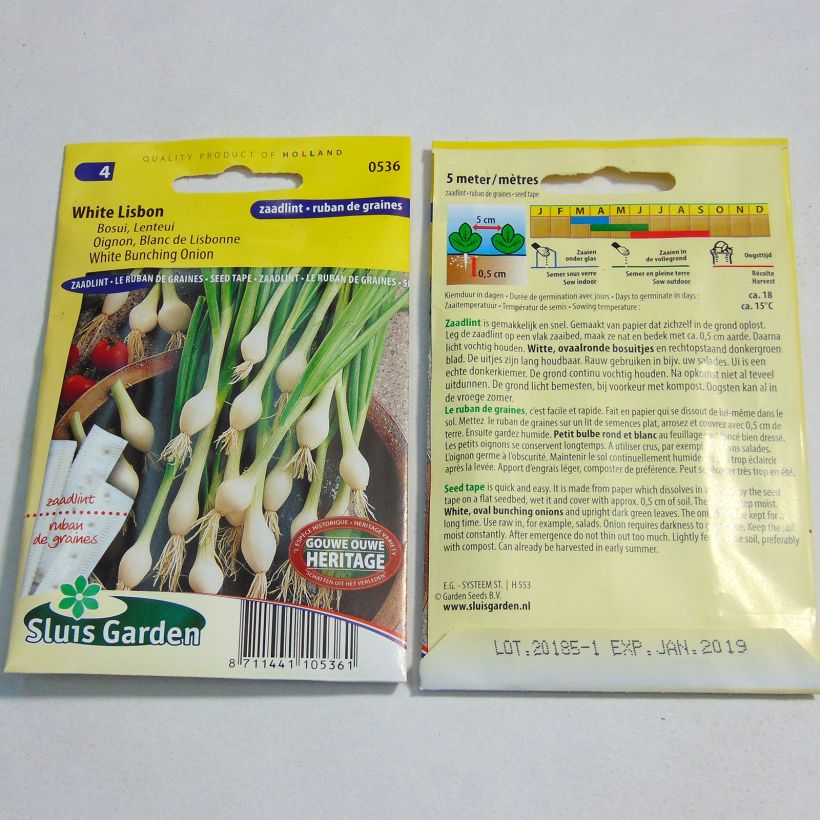 Example of Weisse-Zwiebel Blanc de Lisbonne (Samenband) per 5 g seed pack as you get