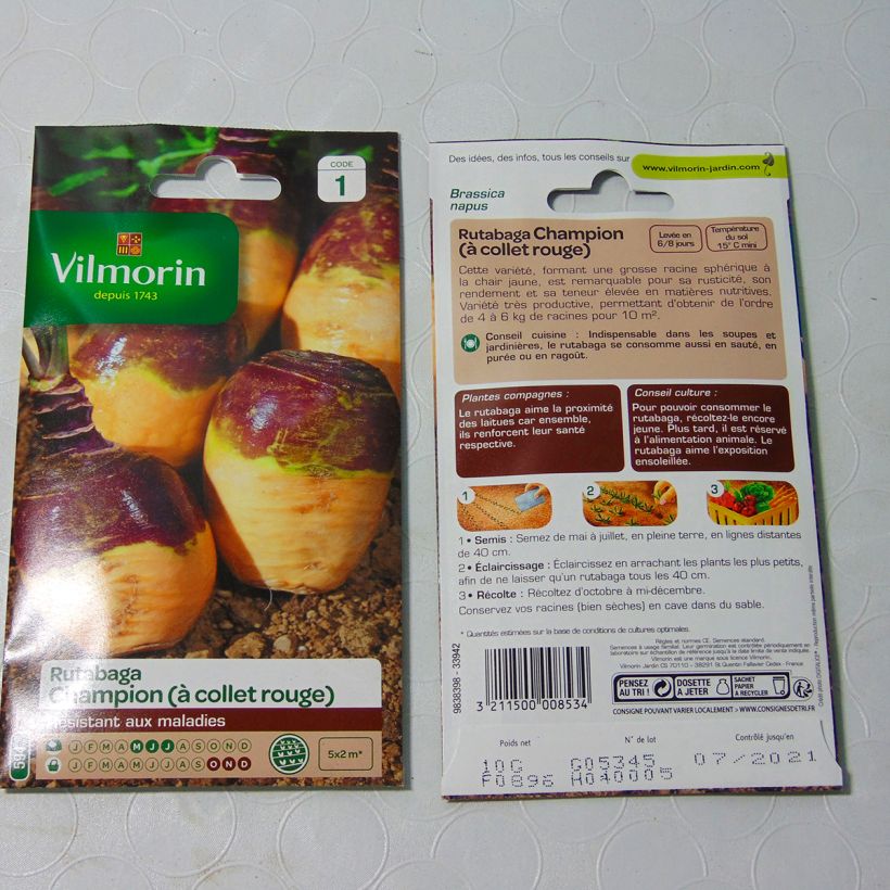 Example of Rübenkohl Champion - Vilmorin per pack of 3500 seeds (10g) as you get
