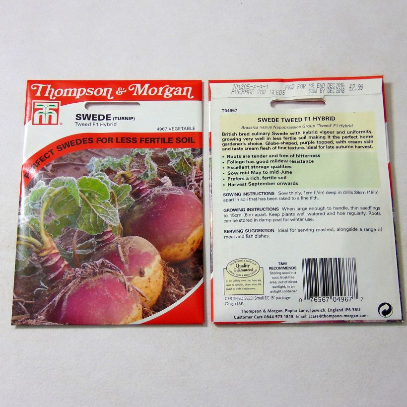 Example of Rübenkohl Tweed per pack of 200 seeds as you get